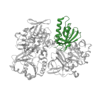 The deposited structure of PDB entry 1pj6 contains 1 copy of CATH domain 3.30.70.1400 (Alpha-Beta Plaits) in Dimethylglycine oxidase. Showing 1 copy in chain A.