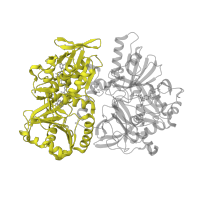 The deposited structure of PDB entry 1pj6 contains 1 copy of Pfam domain PF01266 (FAD dependent oxidoreductase) in Dimethylglycine oxidase. Showing 1 copy in chain A.
