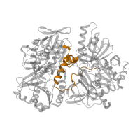 The deposited structure of PDB entry 1pj6 contains 1 copy of Pfam domain PF16350 (FAD dependent oxidoreductase central domain) in Dimethylglycine oxidase. Showing 1 copy in chain A.