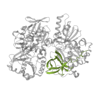 The deposited structure of PDB entry 1pj6 contains 1 copy of SCOP domain 101791 (Aminomethyltransferase beta-barrel domain) in Dimethylglycine oxidase. Showing 1 copy in chain A.