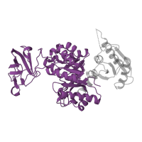 The deposited structure of PDB entry 1pky contains 4 copies of Pfam domain PF00224 (Pyruvate kinase, barrel domain) in Pyruvate kinase I. Showing 1 copy in chain A.