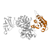 The deposited structure of PDB entry 1pky contains 4 copies of Pfam domain PF02887 (Pyruvate kinase, alpha/beta domain) in Pyruvate kinase I. Showing 1 copy in chain A.