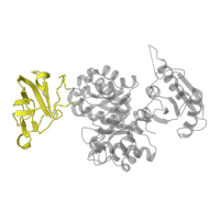 The deposited structure of PDB entry 1pky contains 4 copies of SCOP domain 50801 (Pyruvate kinase beta-barrel domain) in Pyruvate kinase I. Showing 1 copy in chain A.