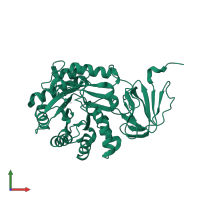 Isoaspartyl dipeptidase in PDB entry 1po9, assembly 1, front view.