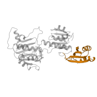 The deposited structure of PDB entry 1psd contains 2 copies of SCOP domain 55022 (Phosphoglycerate dehydrogenase, regulatory (C-terminal) domain) in D-3-phosphoglycerate dehydrogenase. Showing 1 copy in chain A.