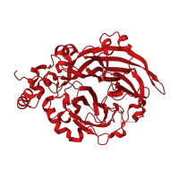 The deposited structure of PDB entry 1pt2 contains 1 copy of CATH domain 2.115.10.20 (Tachylectin-2; Chain A) in Levansucrase. Showing 1 copy in chain A.