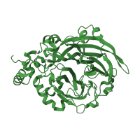 The deposited structure of PDB entry 1pt2 contains 1 copy of SCOP domain 101881 (Levansucrase) in Levansucrase. Showing 1 copy in chain A.