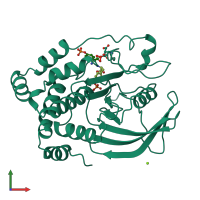 PDB entry 1pty coloured by chain, front view.