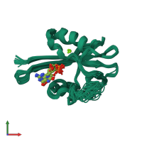 PDB entry 1puq coloured by chain, ensemble of 20 models, front view.