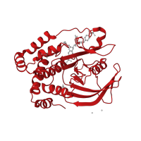 The deposited structure of PDB entry 1pxh contains 1 copy of CATH domain 3.90.190.10 (Protein-Tyrosine Phosphatase; Chain A) in Tyrosine-protein phosphatase non-receptor type 1. Showing 1 copy in chain A.