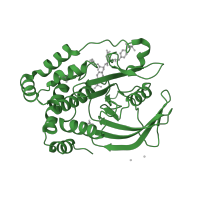 The deposited structure of PDB entry 1pxh contains 1 copy of SCOP domain 52805 (Higher-molecular-weight phosphotyrosine protein phosphatases) in Tyrosine-protein phosphatase non-receptor type 1. Showing 1 copy in chain A.