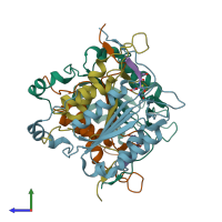 PDB entry 1pyo coloured by chain, side view.