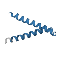 The deposited structure of PDB entry 1q2h contains 3 copies of Pfam domain PF08916 (Phenylalanine zipper) in SH2B adapter protein 2. Showing 1 copy in chain A.