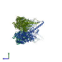 PDB entry 1q3q coloured by chain, side view.