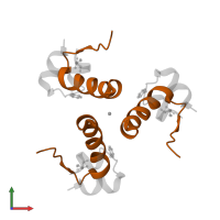 Insulin B chain in PDB entry 1q4v, assembly 2, front view.