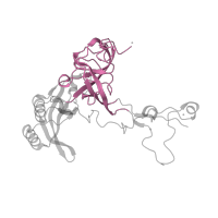 The deposited structure of PDB entry 1q82 contains 1 copy of CATH domain 2.40.30.10 (Elongation Factor Tu (Ef-tu); domain 3) in Large ribosomal subunit protein uL3. Showing 1 copy in chain E [auth D].