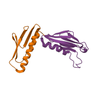 The deposited structure of PDB entry 1q82 contains 2 copies of CATH domain 3.90.930.12 (Outer Surface Protein A; domain 3) in Large ribosomal subunit protein uL6. Showing 2 copies in chain H [auth G].