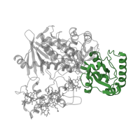 The deposited structure of PDB entry 1q9i contains 1 copy of CATH domain 3.90.700.10 (Flavocytochrome C3; Chain A, domain 1) in Fumarate reductase flavoprotein subunit. Showing 1 copy in chain A.