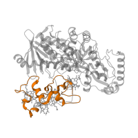 The deposited structure of PDB entry 1q9i contains 1 copy of Pfam domain PF14537 (Cytochrome c3) in Fumarate reductase flavoprotein subunit. Showing 1 copy in chain A.