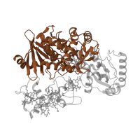 The deposited structure of PDB entry 1q9i contains 1 copy of SCOP domain 51934 (Succinate dehydrogenase/fumarate reductase flavoprotein N-terminal domain) in Fumarate reductase flavoprotein subunit. Showing 1 copy in chain A.