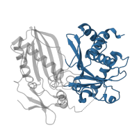 The deposited structure of PDB entry 1q9j contains 2 copies of CATH domain 3.30.559.30 (Chloramphenicol Acetyltransferase) in Phthiocerol/phthiodiolone dimycocerosyl transferase. Showing 1 copy in chain B.