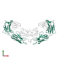 Ig-like domain-containing protein in PDB entry 1q9w, assembly 3, front view.