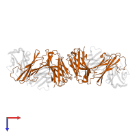 Ig-like domain-containing protein in PDB entry 1q9w, assembly 3, top view.