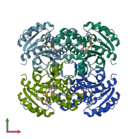 PDB entry 1qg6 coloured by chain, front view.