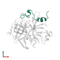 Thrombin light chain in PDB entry 1qhr, assembly 1, front view.