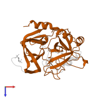 Thrombin heavy chain in PDB entry 1qhr, assembly 1, top view.