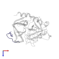 Hirudin variant-1 in PDB entry 1qhr, assembly 1, top view.