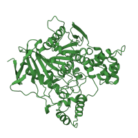 The deposited structure of PDB entry 1qim contains 1 copy of SCOP domain 53475 (Acetylcholinesterase-like) in Acetylcholinesterase. Showing 1 copy in chain A.