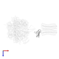 ATP synthase epsilon chain in PDB entry 1qo1, assembly 1, top view.