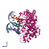 Hetero tetrameric assembly 1 of PDB entry 1qum coloured by chemically distinct molecules, side view.