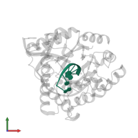 5'-D(*CP*GP*TP*CP*C)-3' in PDB entry 1qum, assembly 1, front view.