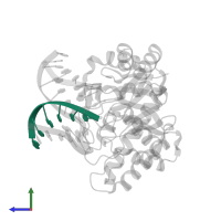 5'-D(*CP*GP*TP*CP*C)-3' in PDB entry 1qum, assembly 1, side view.