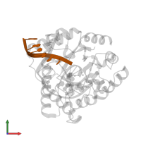 5'-D(*(3DR)P*CP*GP*AP*CP*GP*A)-3' in PDB entry 1qum, assembly 1, front view.