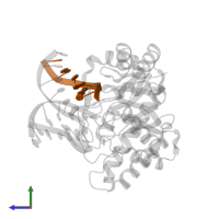 5'-D(*(3DR)P*CP*GP*AP*CP*GP*A)-3' in PDB entry 1qum, assembly 1, side view.