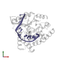 5'-D(*TP*CP*GP*TP*CP*GP*GP*GP*GP*AP*CP*G)-3' in PDB entry 1qum, assembly 1, front view.