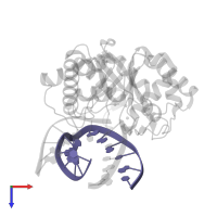 5'-D(*TP*CP*GP*TP*CP*GP*GP*GP*GP*AP*CP*G)-3' in PDB entry 1qum, assembly 1, top view.