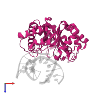 Endonuclease 4 in PDB entry 1qum, assembly 1, top view.