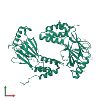 Interferon regulatory factor 3 in PDB entry 1qwt, assembly 1, front view.