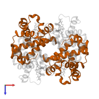 Hemoglobin subunit beta in PDB entry 1r1x, assembly 1, top view.