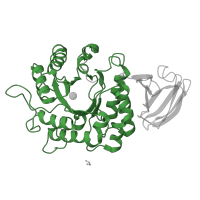 The deposited structure of PDB entry 1r47 contains 2 copies of Pfam domain PF16499 (Alpha galactosidase A) in Alpha-galactosidase A. Showing 1 copy in chain B.