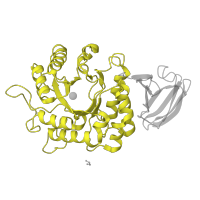 The deposited structure of PDB entry 1r47 contains 2 copies of SCOP domain 51446 (Amylase, catalytic domain) in Alpha-galactosidase A. Showing 1 copy in chain B.