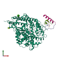 PDB entry 1r4l coloured by chain, front view.