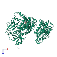 PDB entry 1r7r coloured by chain, top view.