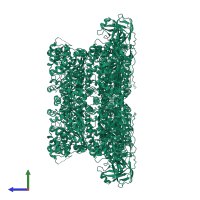 Transitional endoplasmic reticulum ATPase in PDB entry 1r7r, assembly 1, side view.