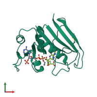 PDB entry 1ra3 coloured by chain, front view.