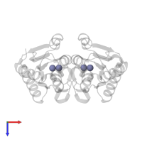 ZINC ION in PDB entry 1rb7, assembly 1, top view.